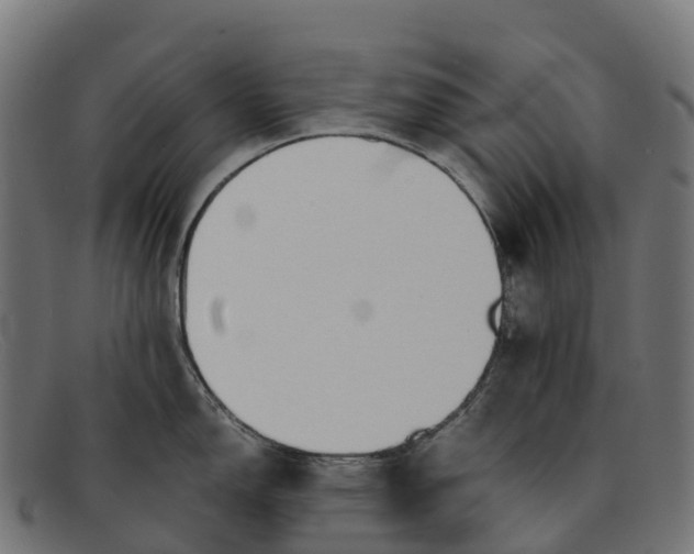 X0000091681150200709131542