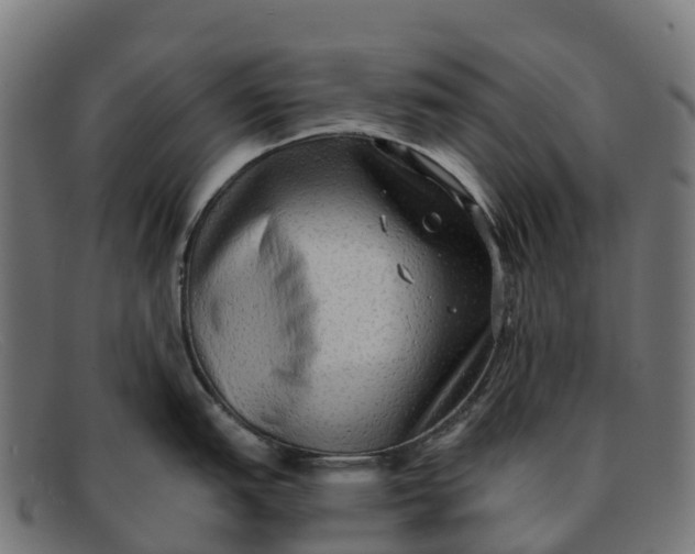 X0000091681151200709131542