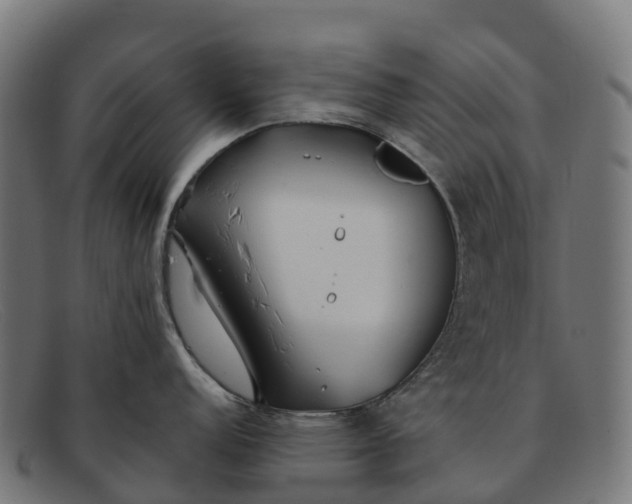 X0000091681152200709131542