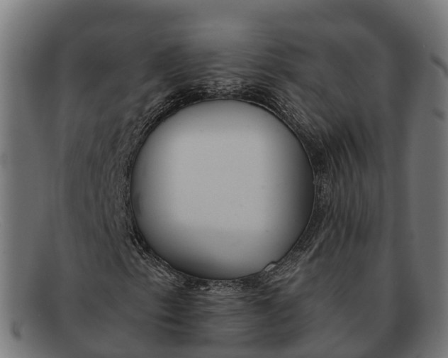 X0000091681153200709131542