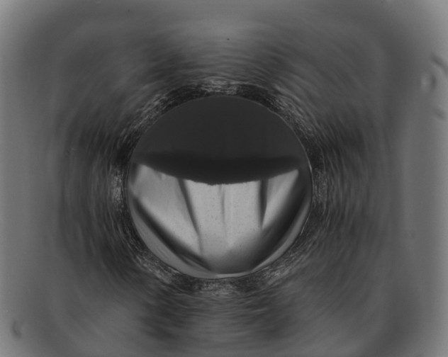 X0000091681154200709131542