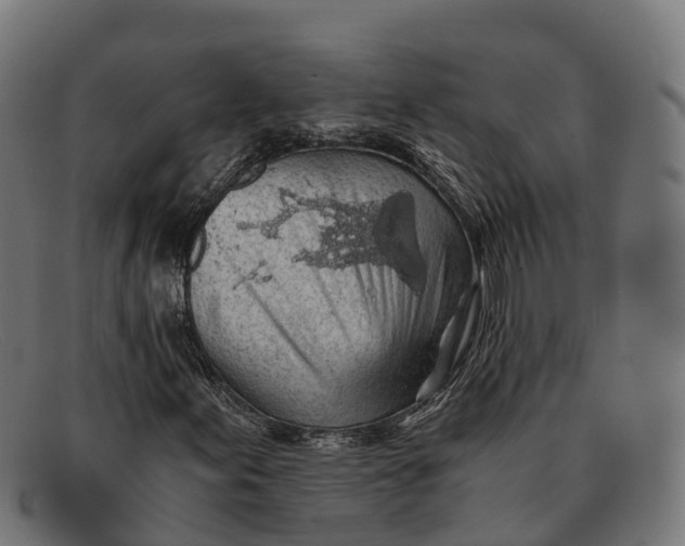 X0000091681155200709131542