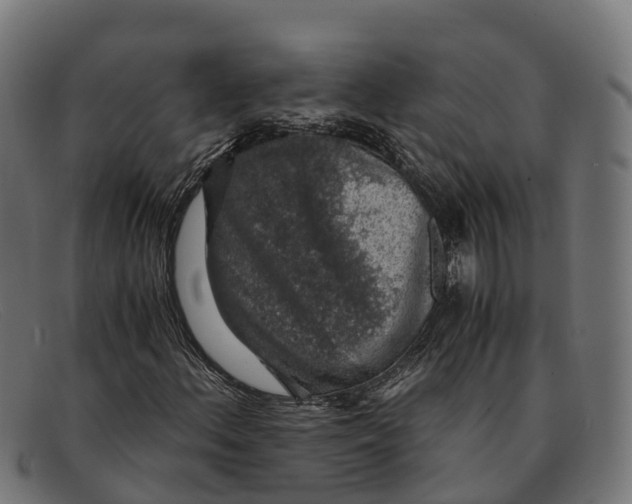 X0000091681156200709131542