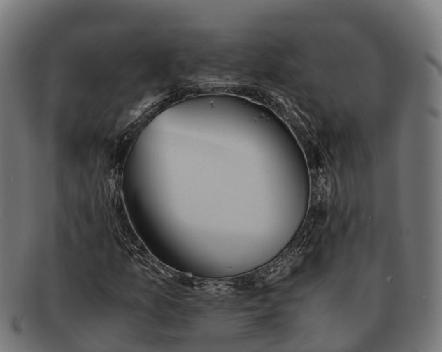 X0000091681157200709131542