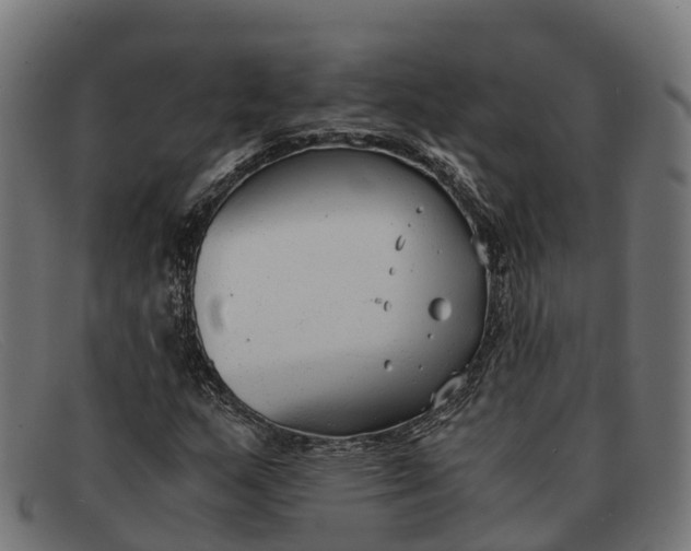 X0000091681159200709131542