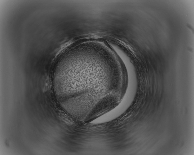 X0000091681160200709131542