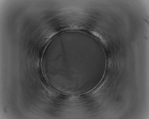 X0000091681161200709131542