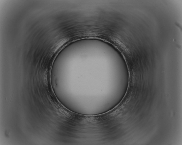 X0000091681162200709131542