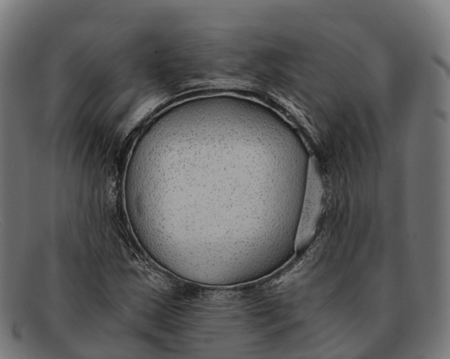 X0000091681163200709131542