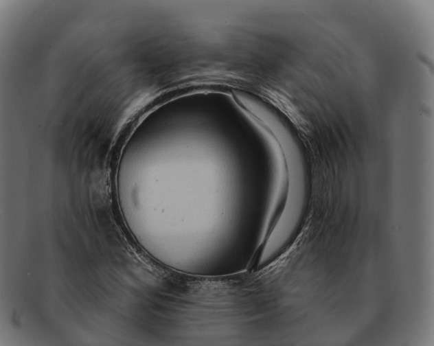 X0000091681164200709131542