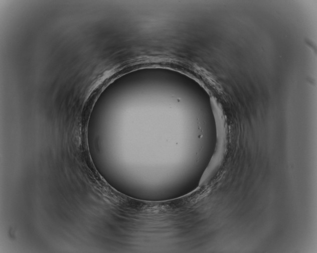 X0000091681165200709131542