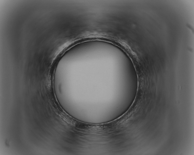 X0000091681167200709131542