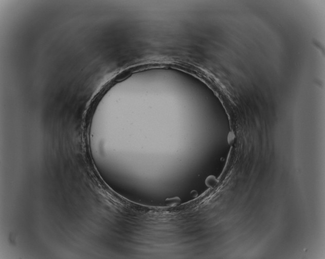 X0000091681168200709131542