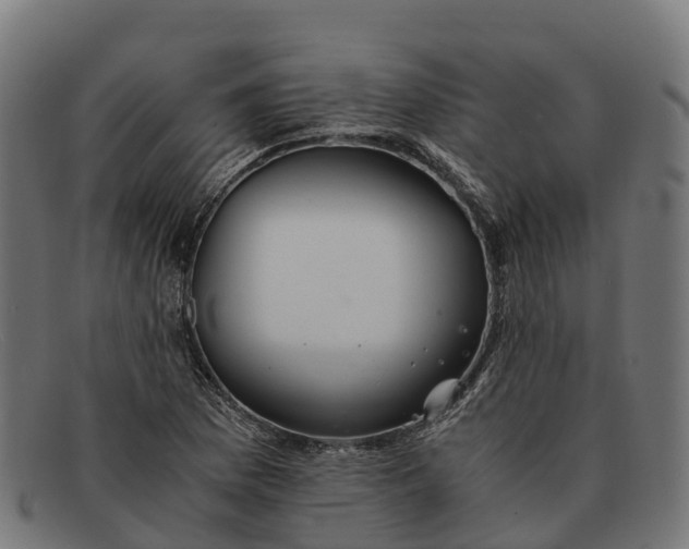 X0000091681169200709131542