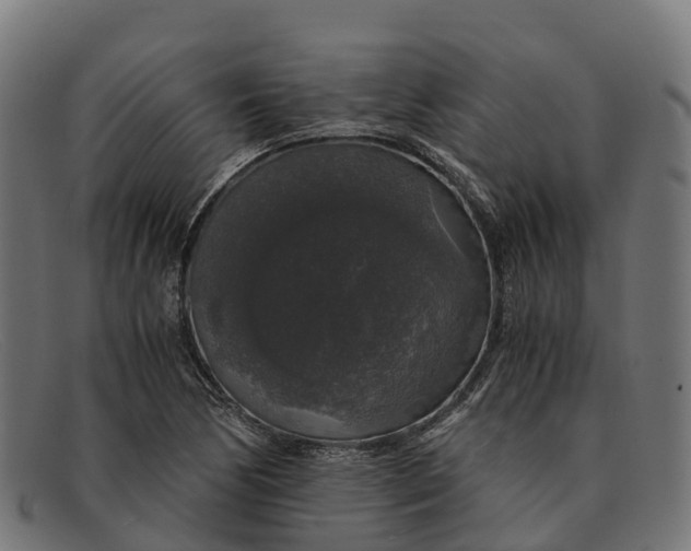 X0000091681170200709131542