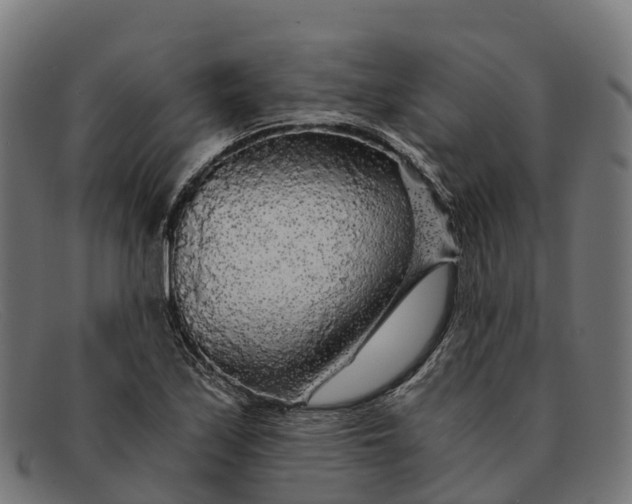 X0000091681171200709131542