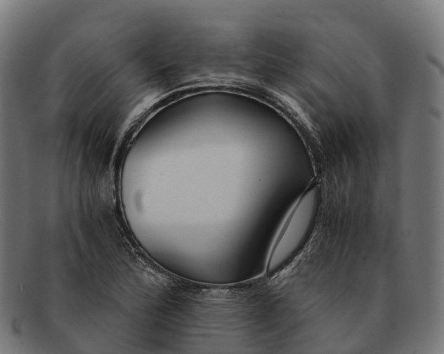 X0000091681172200709131542