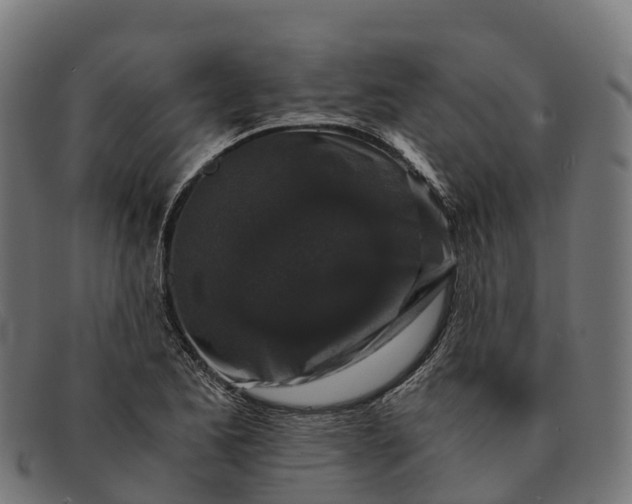 X0000091681173200709131542