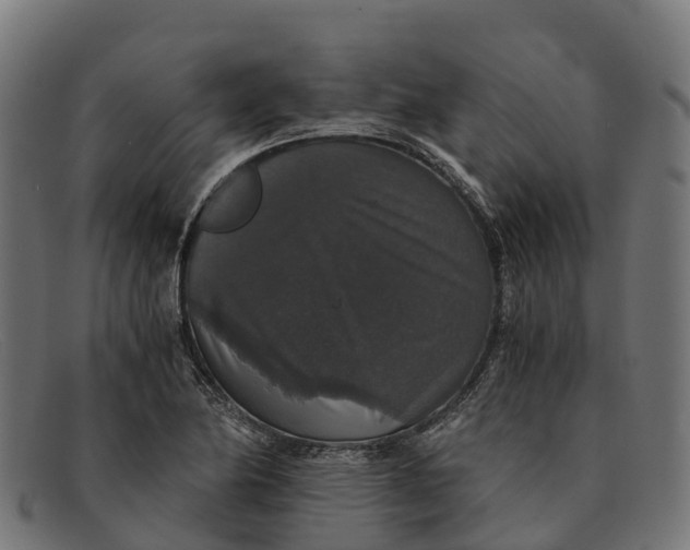 X0000091681174200709131542