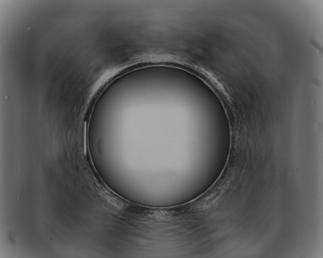 X0000091681175200709131542