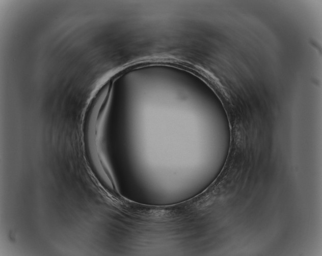 X0000091681176200709131542