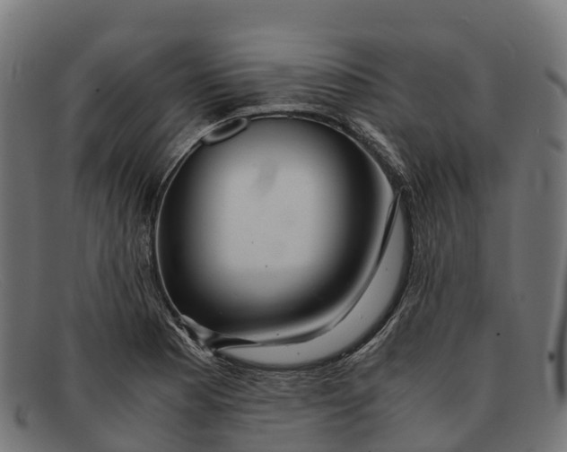 X0000091681177200709131542