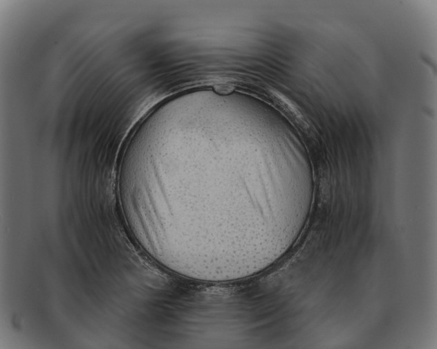 X0000091681178200709131541