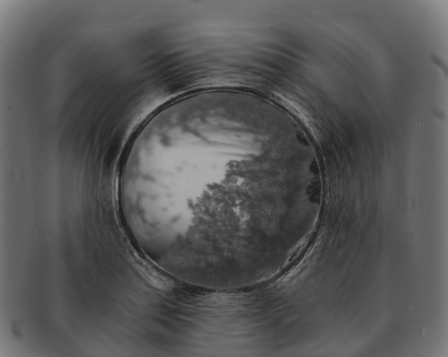 X0000091681179200709131541