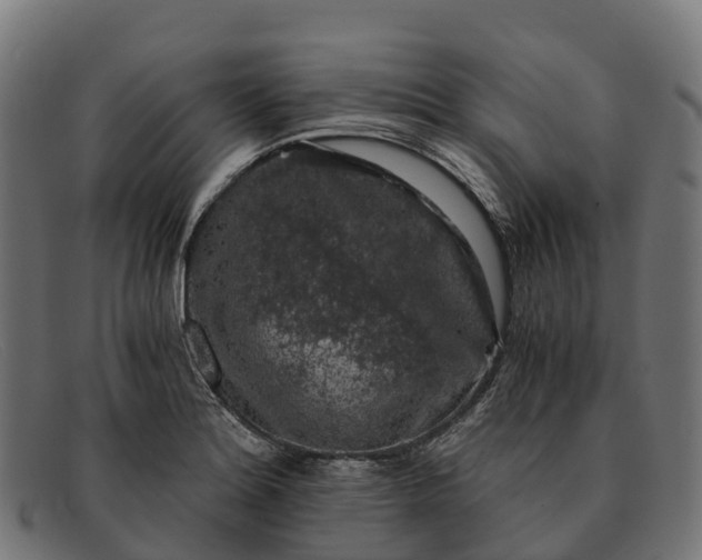 X0000091681180200709131541