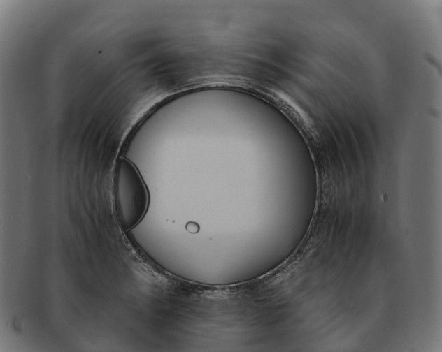 X0000091681182200709131541