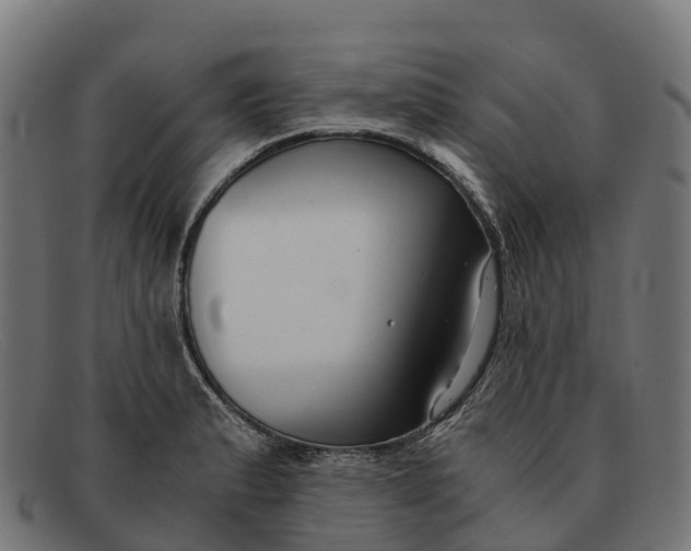 X0000091681183200709131541