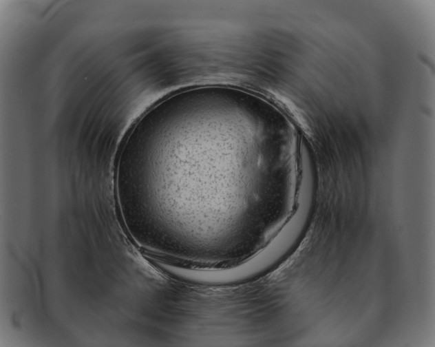 X0000091681184200709131541