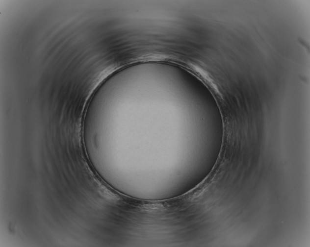 X0000091681186200709131541