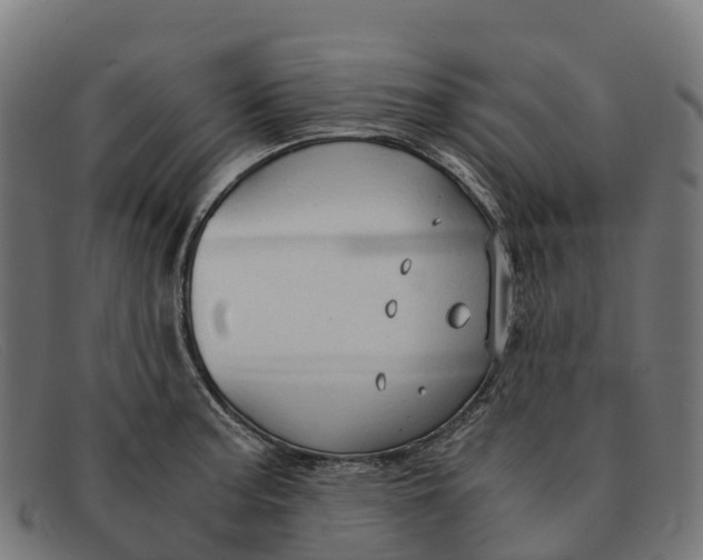 X0000091681187200709131541