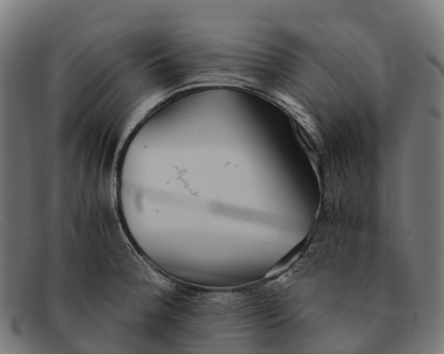 X0000091681188200709131541