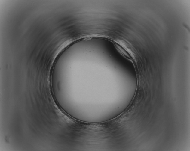 X0000091681189200709131541