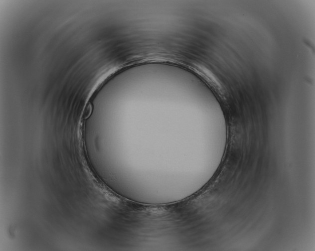 X0000091681190200709131541