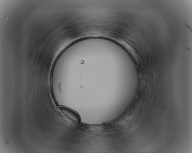 X0000091681191200709131541