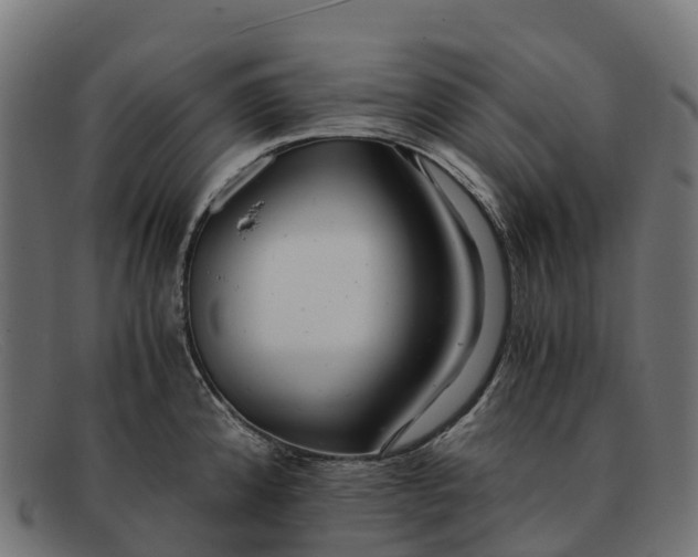 X0000091681192200709131541