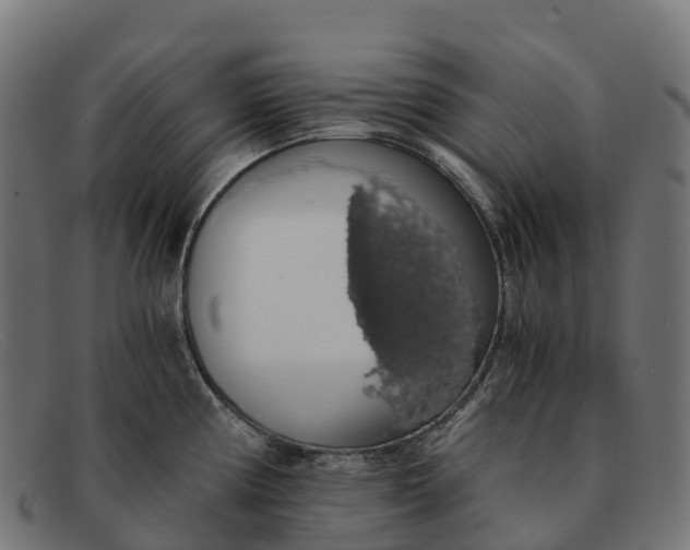 X0000091681194200709131541