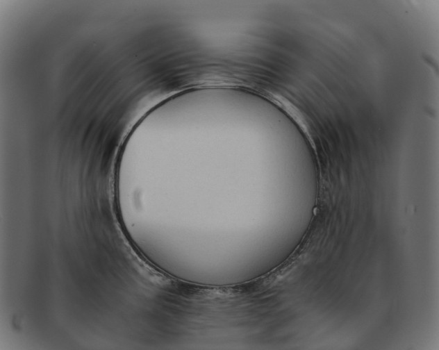 X0000091681195200709131541