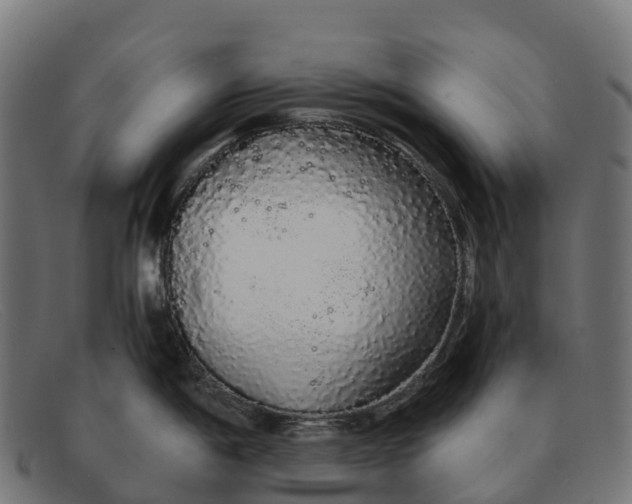 X0000091681198200709131541