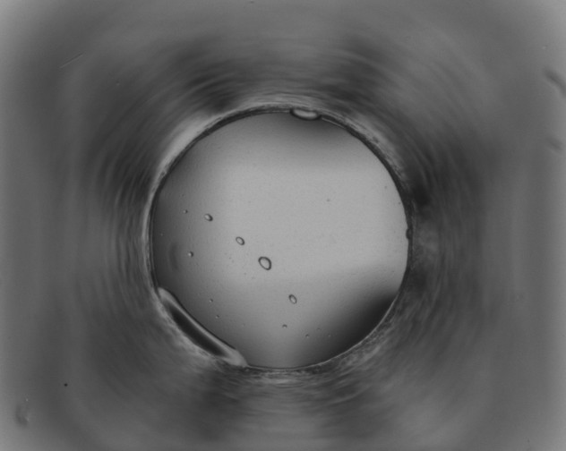 X0000091681199200709131541