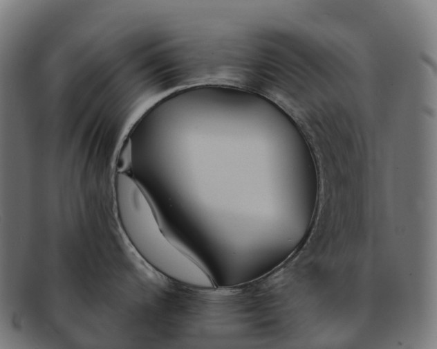 X0000091681200200709131541