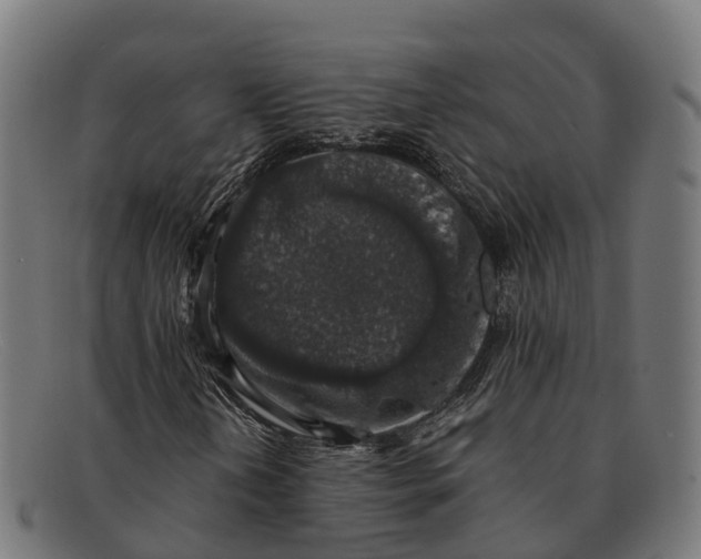 X0000091681202200709131541