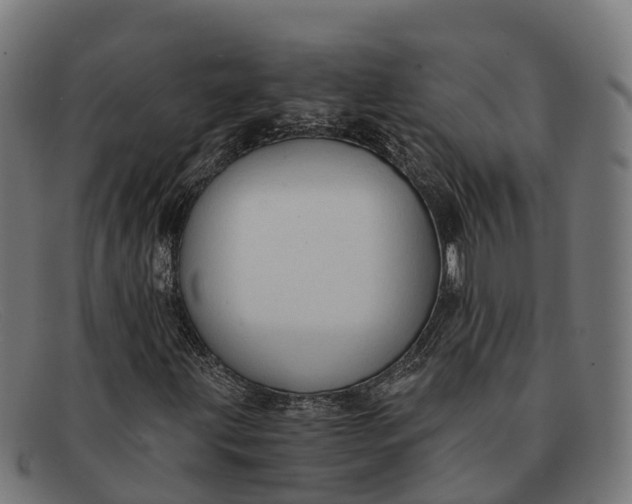 X0000091681203200709131541