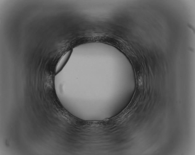 X0000091681204200709131541