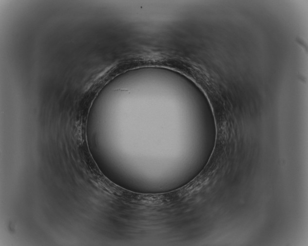 X0000091681205200709131541