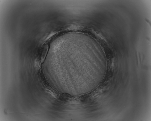 X0000091681206200709131541