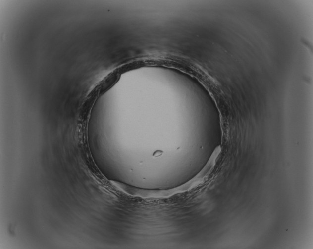 X0000091681208200709131541